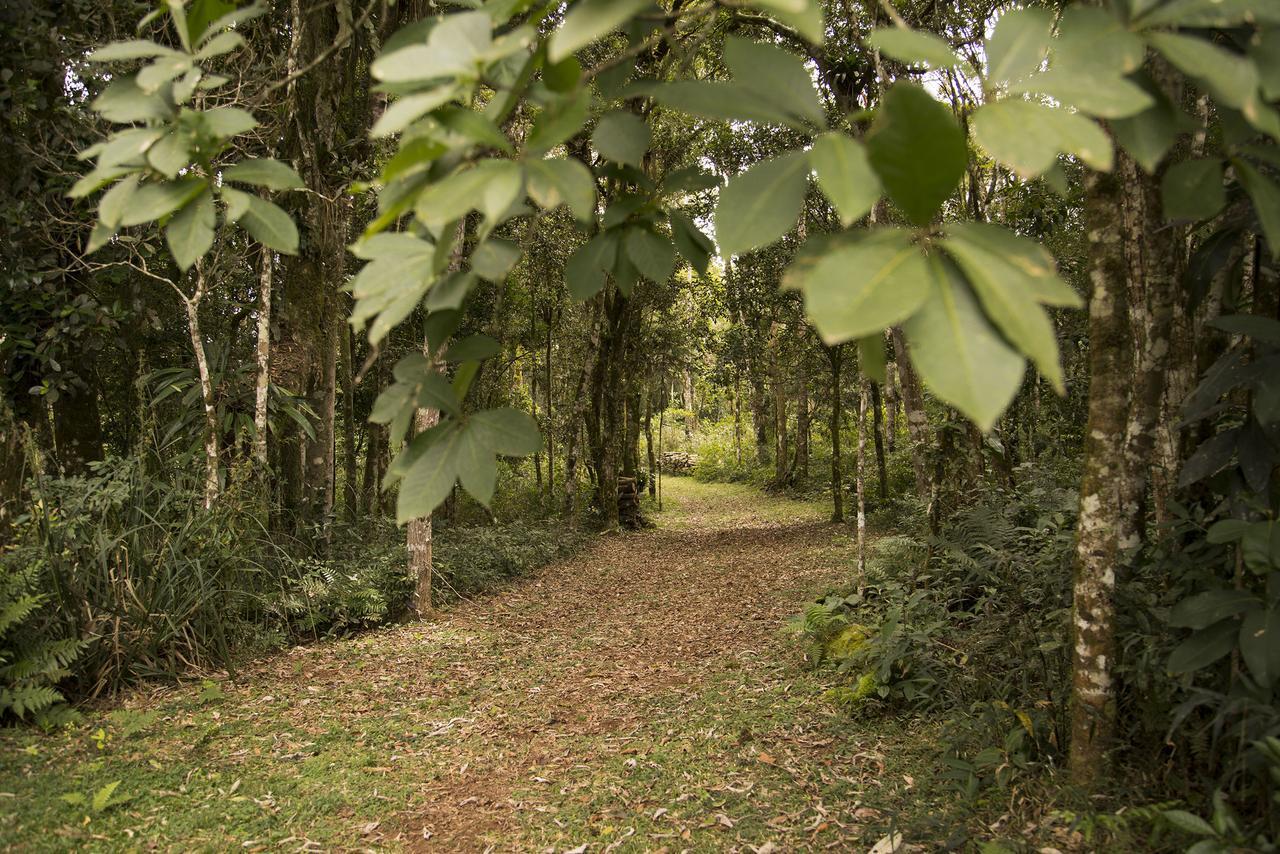 Refugio Monte Olimpo Hotel Campo Alegre Kültér fotó